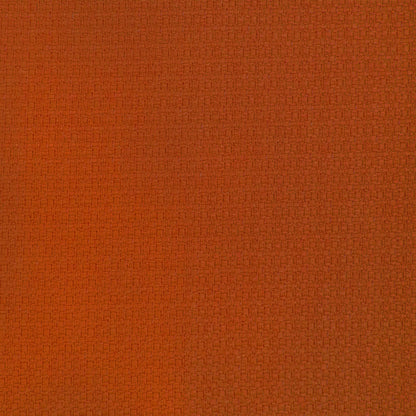Lhasa Fabric by Gaston y Daniela in Naranja