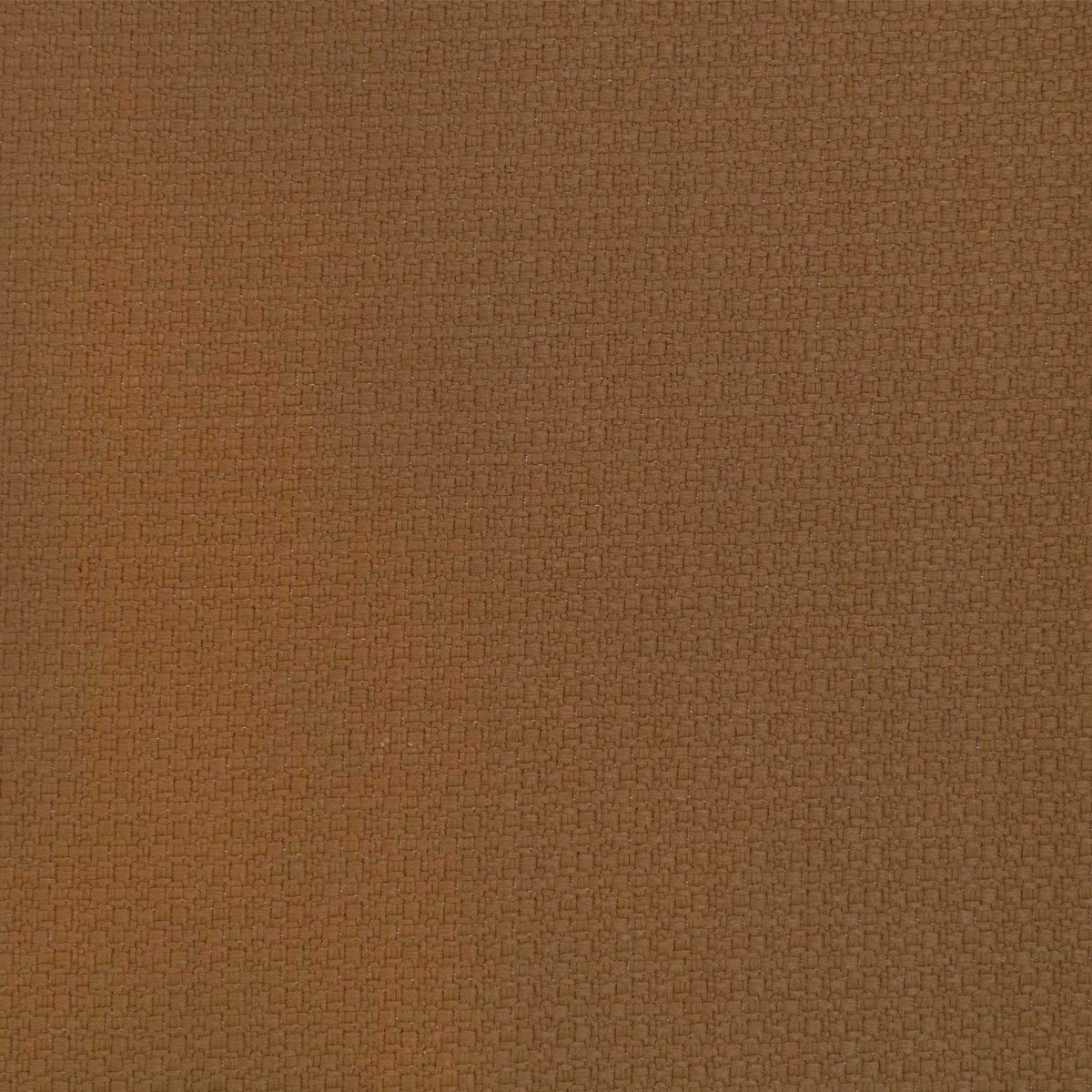 Lhasa Fabric by Gaston y Daniela in Tabaco