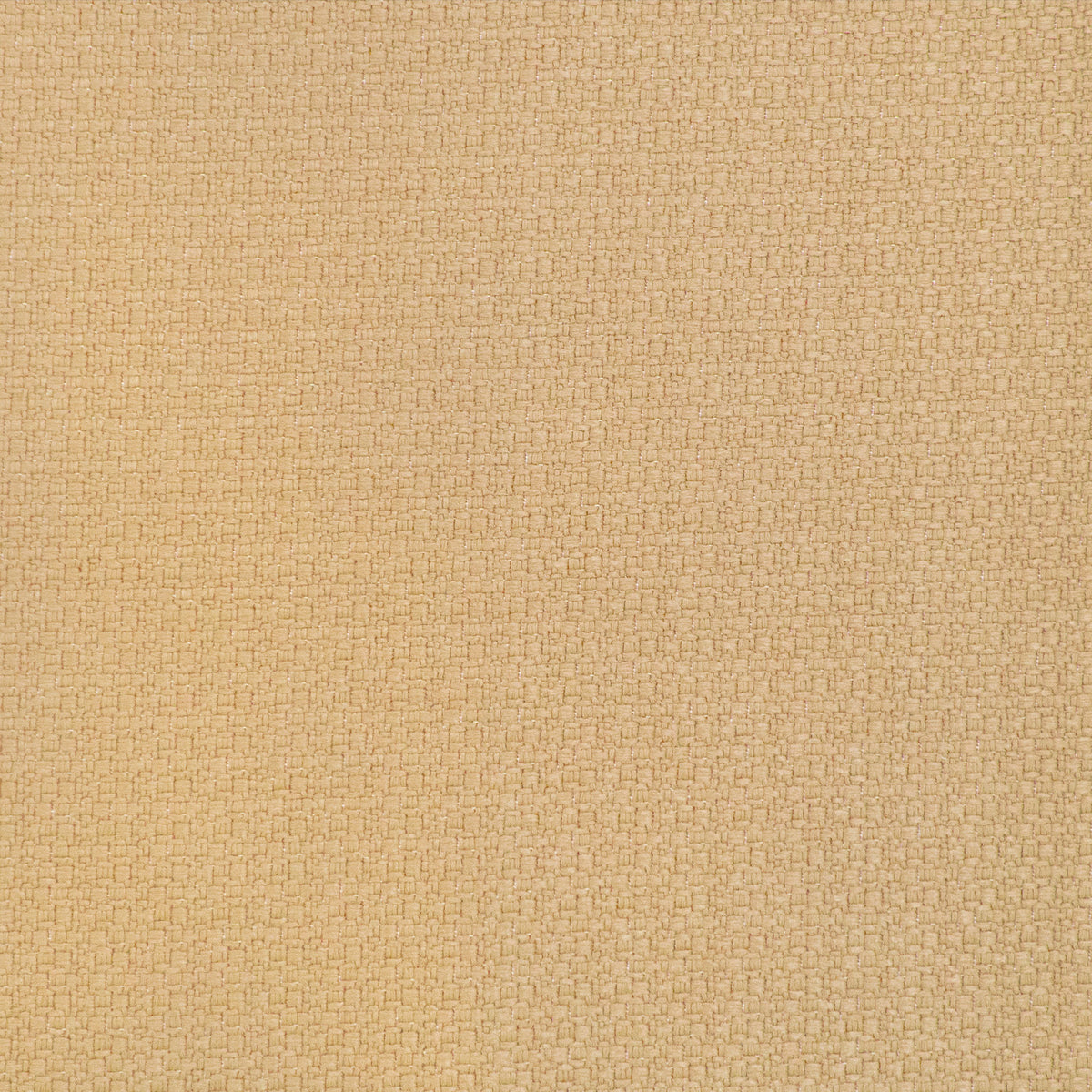 Lhasa Fabric by Gaston y Daniela in Paja