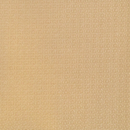 Lhasa Fabric by Gaston y Daniela in Paja