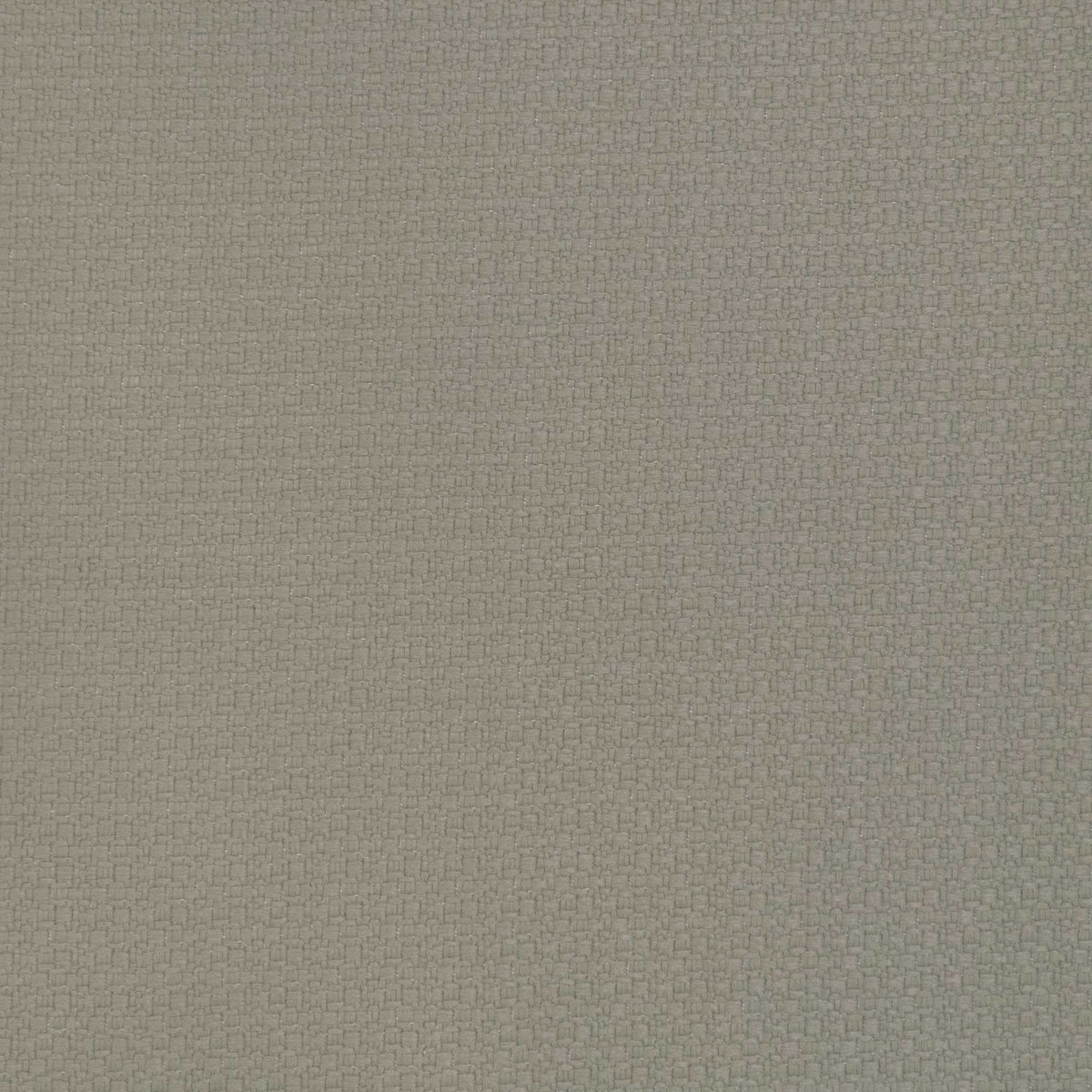 Lhasa Fabric by Gaston y Daniela in Vison