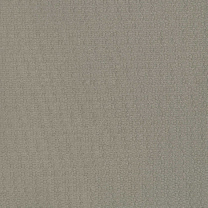 Lhasa Fabric by Gaston y Daniela in Vison
