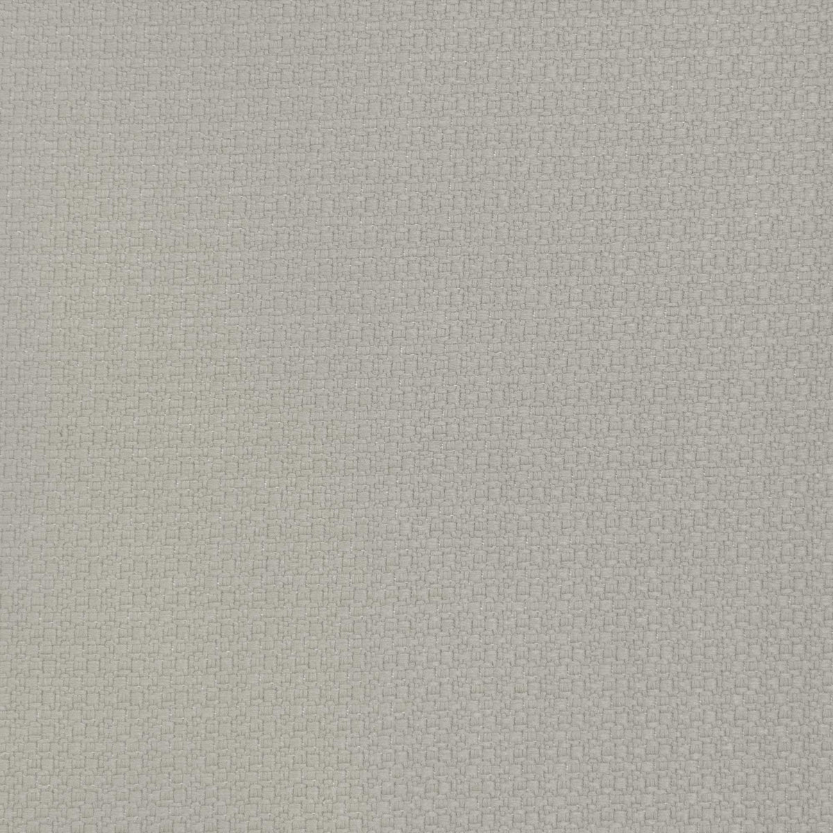 Lhasa Fabric by Gaston y Daniela in Nacar