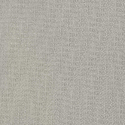 Lhasa Fabric by Gaston y Daniela in Nacar