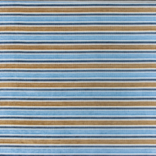 Assos Fabric by Gaston y Daniela in Azul/Ocre
