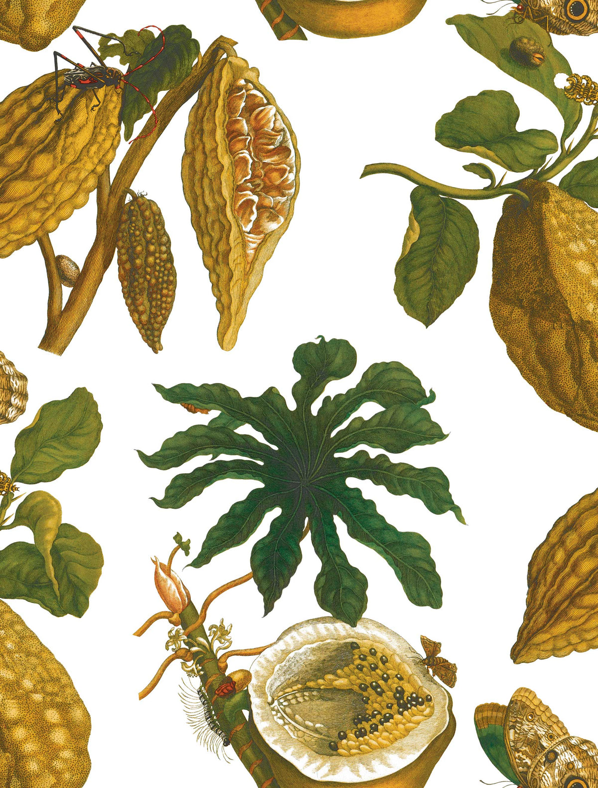 Amazonia Wallpaper by Gaston y Daniela in Original
