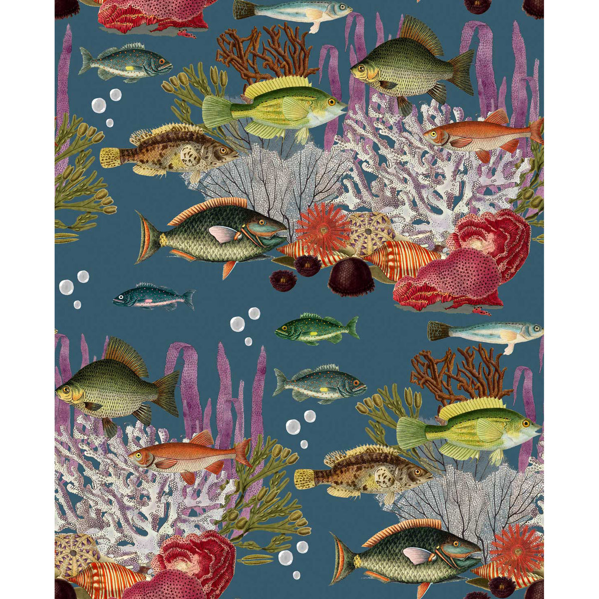 Corales Wallpaper by Gaston y Daniela in Azuloscuro