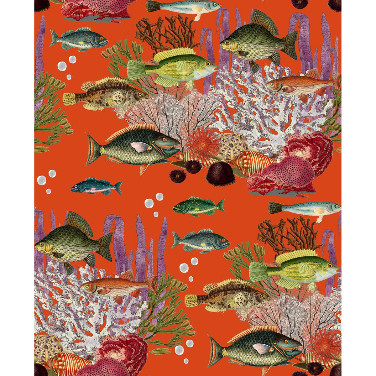 Corales Wallpaper by Gaston y Daniela in Quisquilla