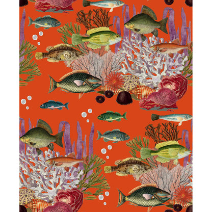 Corales Wallpaper by Gaston y Daniela in Quisquilla