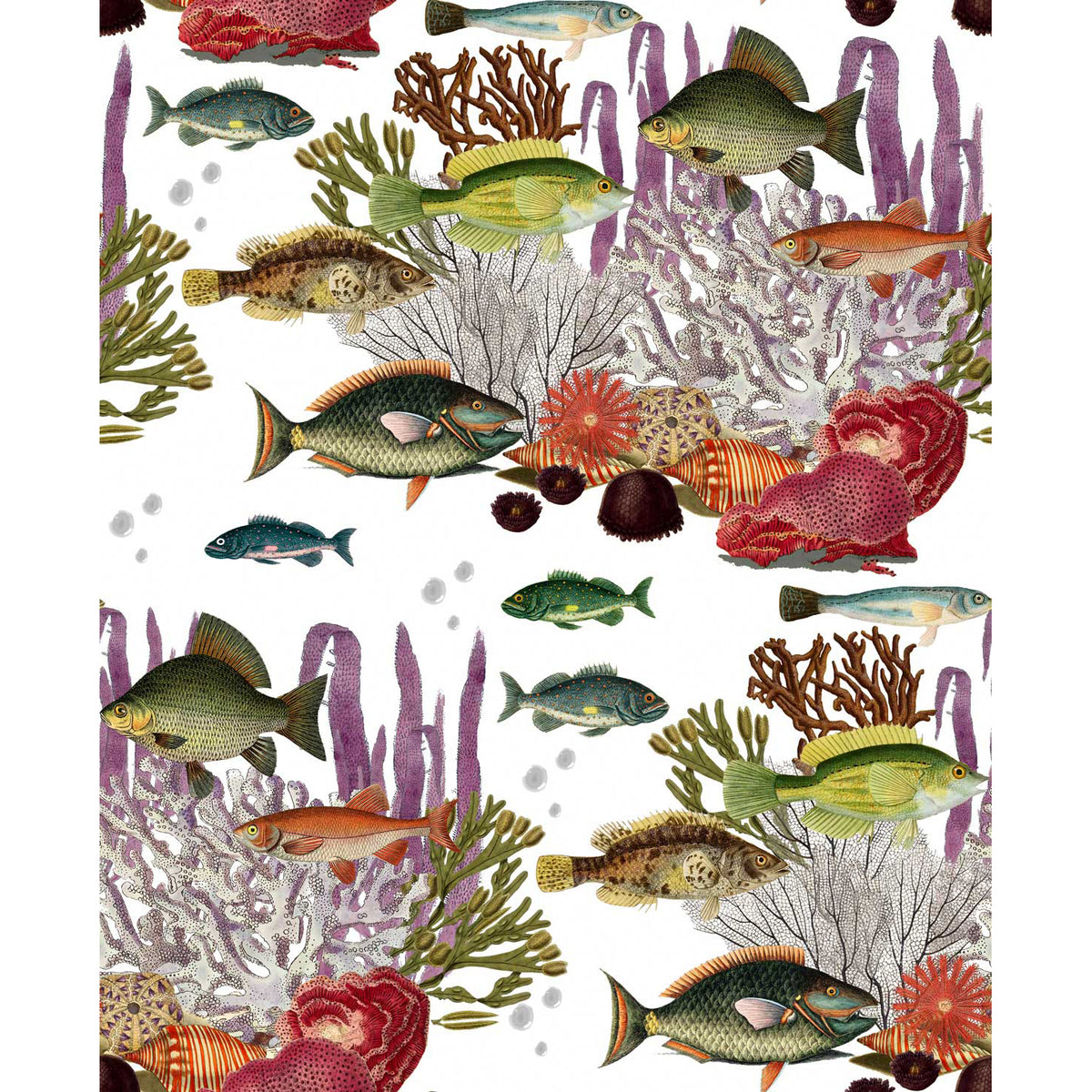 Corales Wallpaper by Gaston y Daniela in Blanco