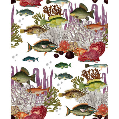 Corales Wallpaper by Gaston y Daniela in Blanco