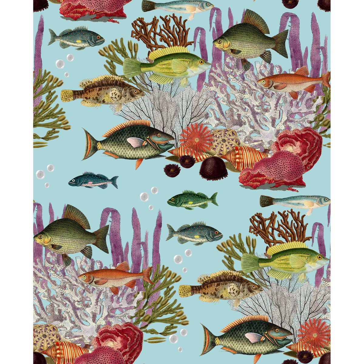 Corales Wallpaper by Gaston y Daniela in Agua