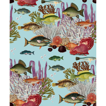 Corales Wallpaper by Gaston y Daniela in Agua