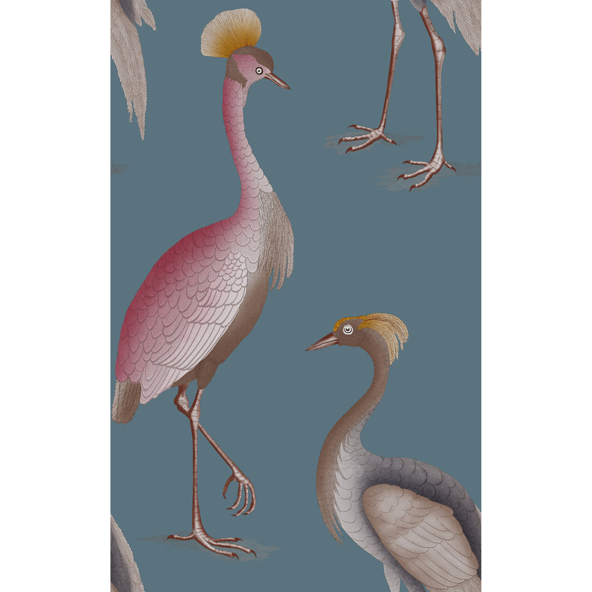Garzas Wallpaper by Gaston y Daniela in Azul Oscuro
