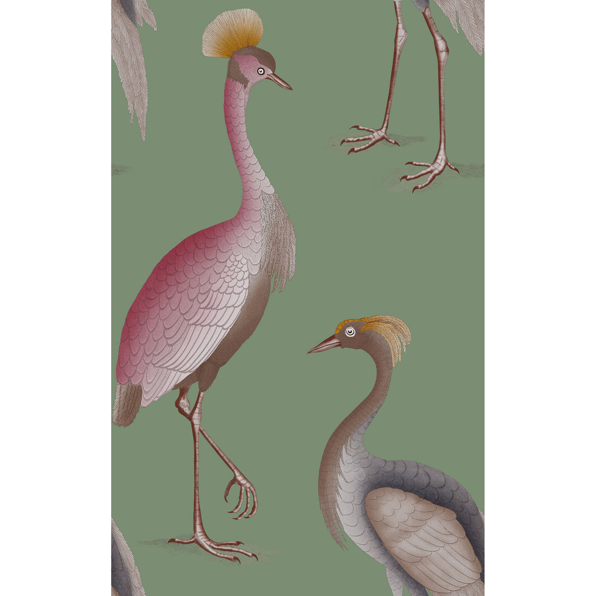 Garzas Wallpaper by Gaston y Daniela in Verde Agua