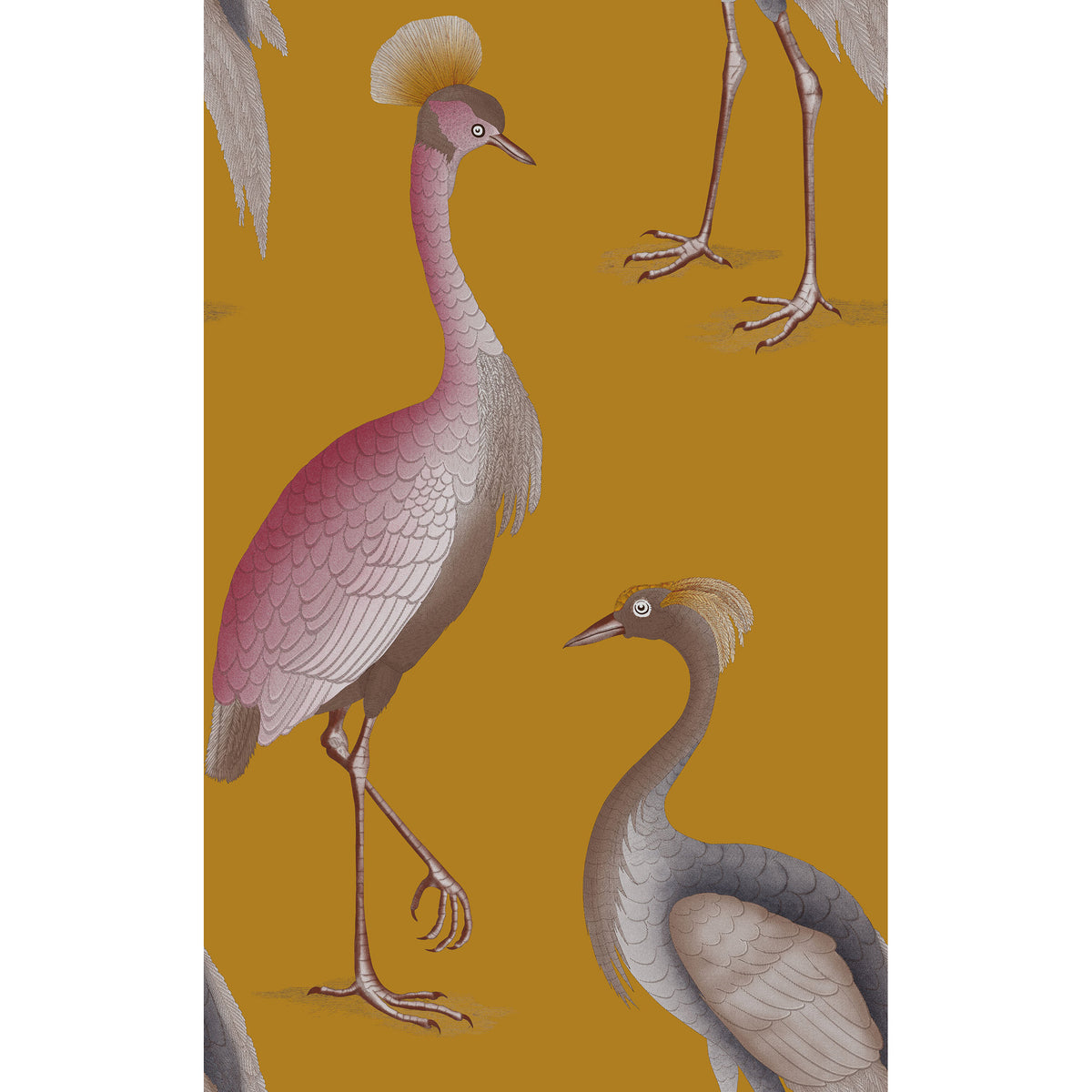 Garzas Wallpaper by Gaston y Daniela in Ocre