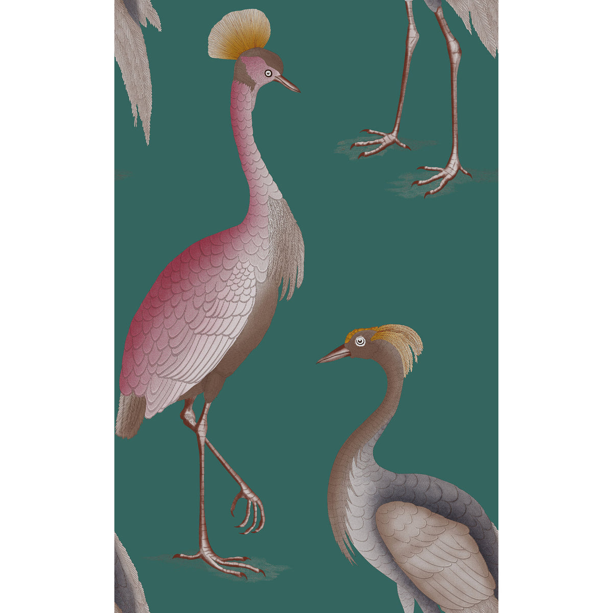 Garzas Wallpaper by Gaston y Daniela in Oceano
