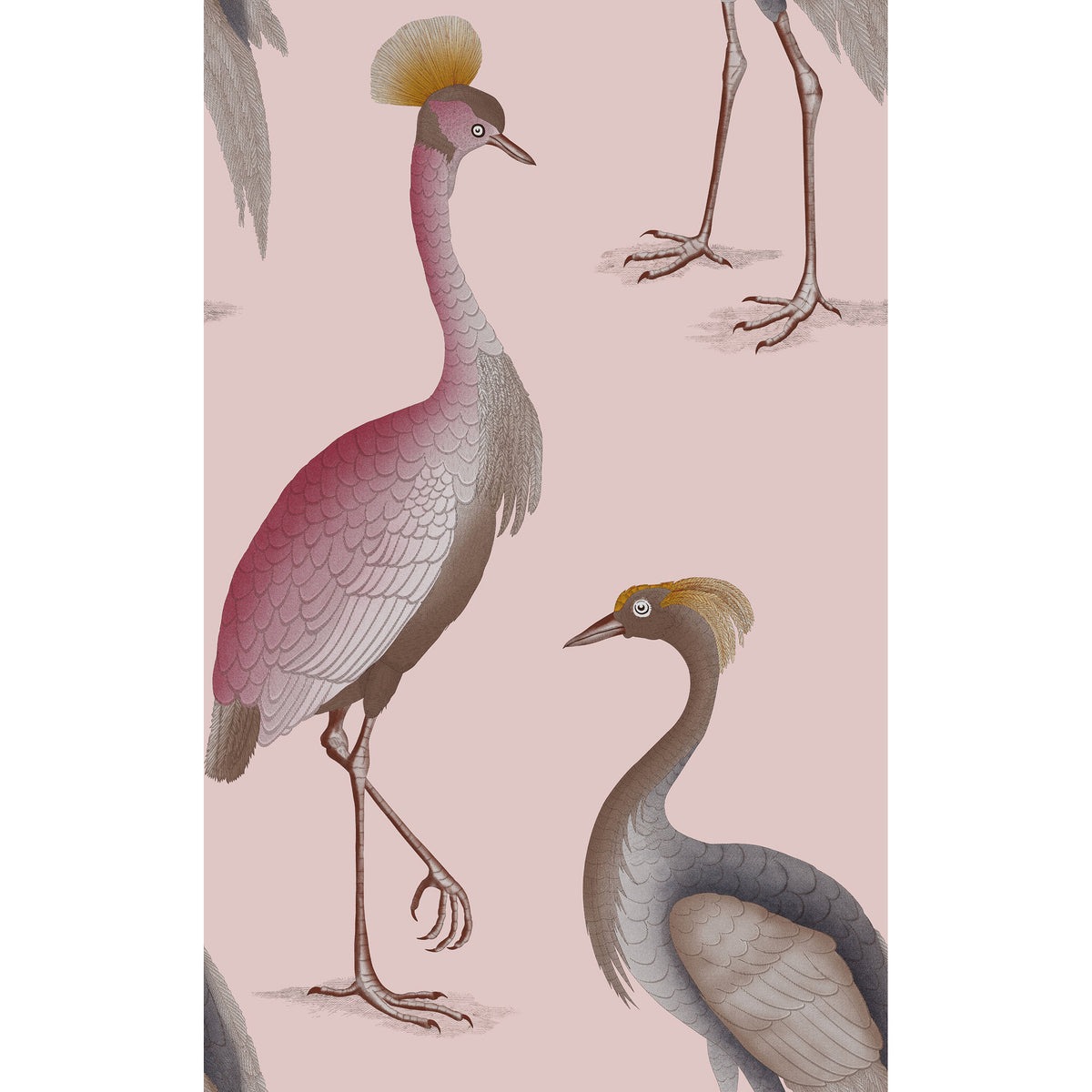 Garzas Wallpaper by Gaston y Daniela in Rosa