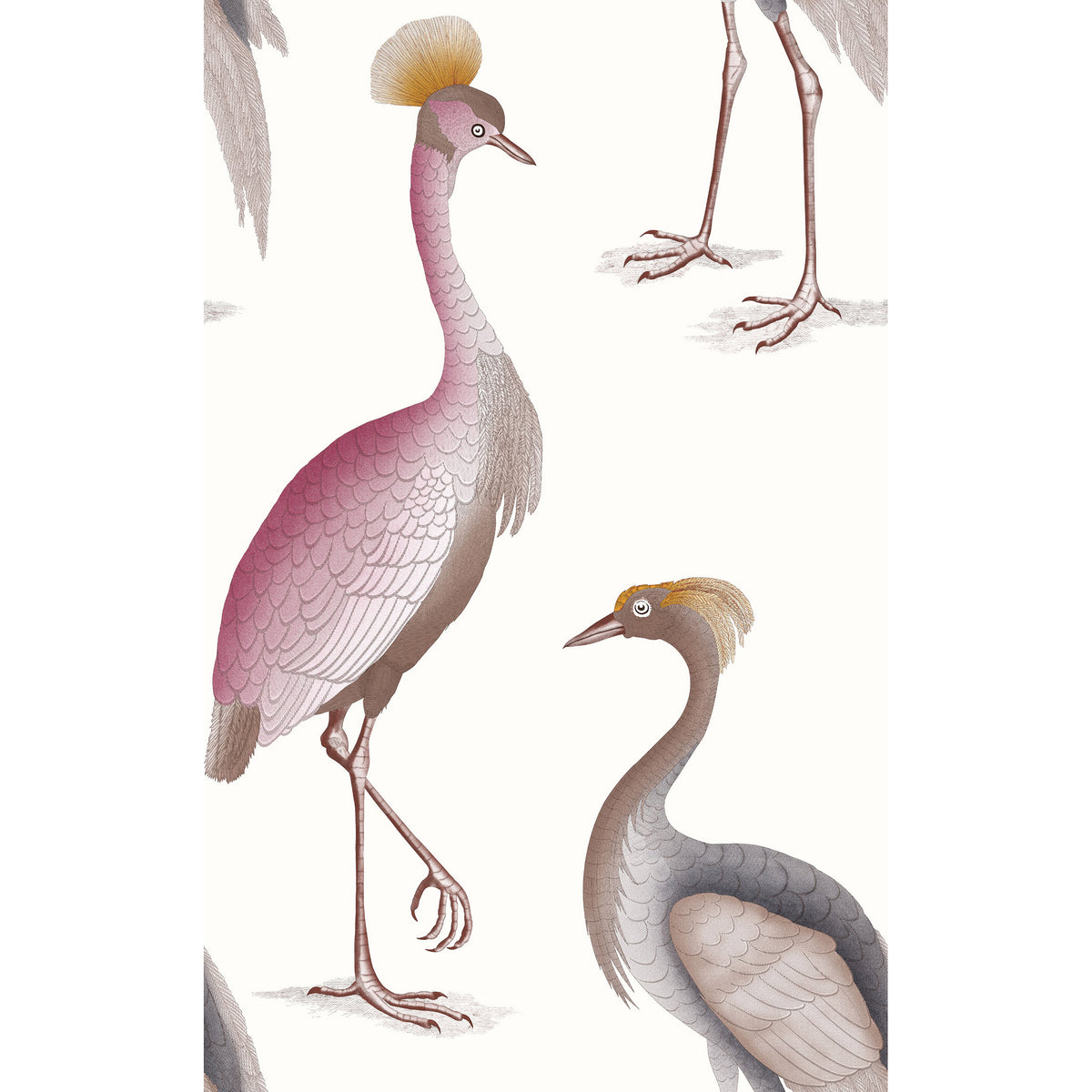 Garzas Wallpaper by Gaston y Daniela in Blanco