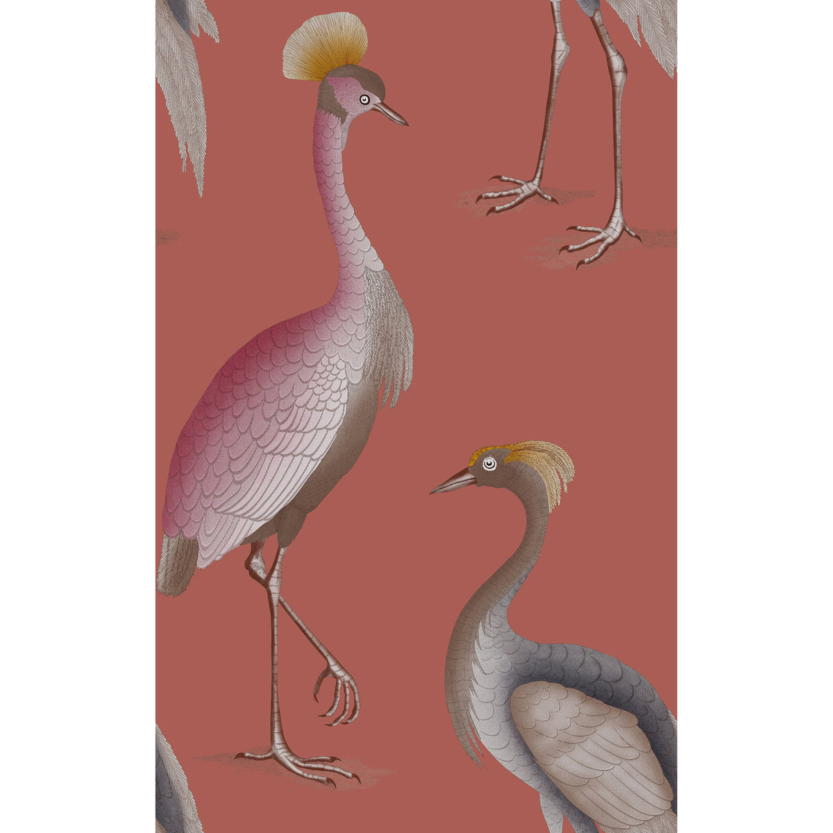 Garzas Wallpaper by Gaston y Daniela in Frambuesa