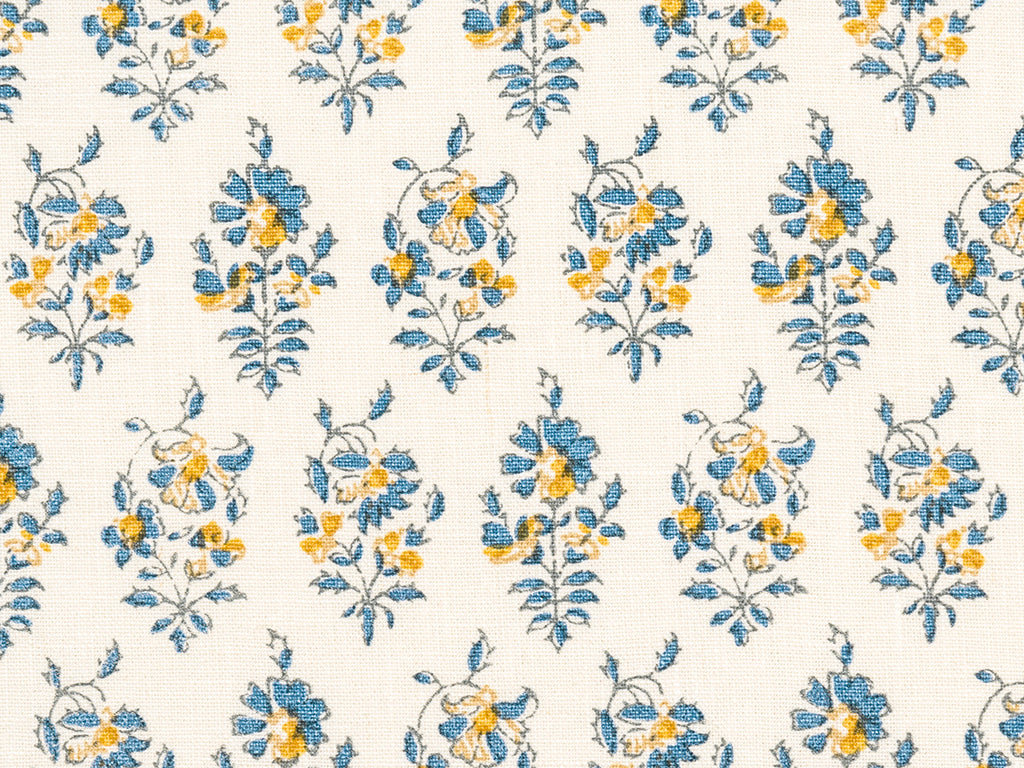 Gisi Cornflower