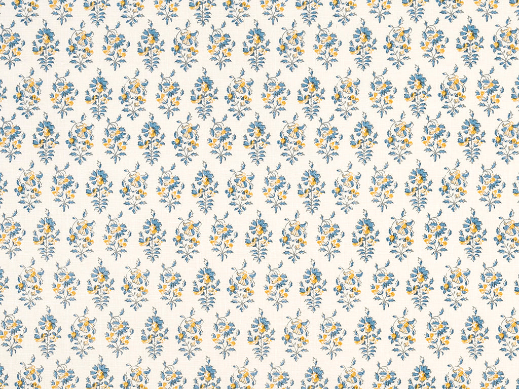 Gisi Cornflower