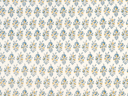Gisi Cornflower