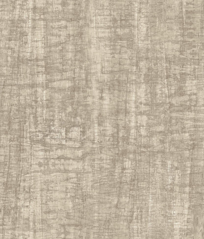 Monteverde Wallpaper