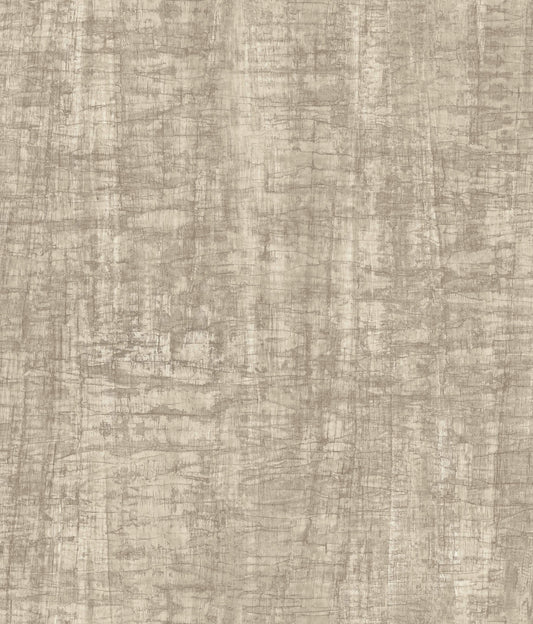 Monteverde Wallpaper