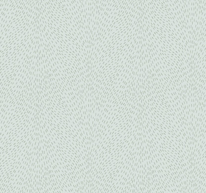 Dew Drop Wallpaper