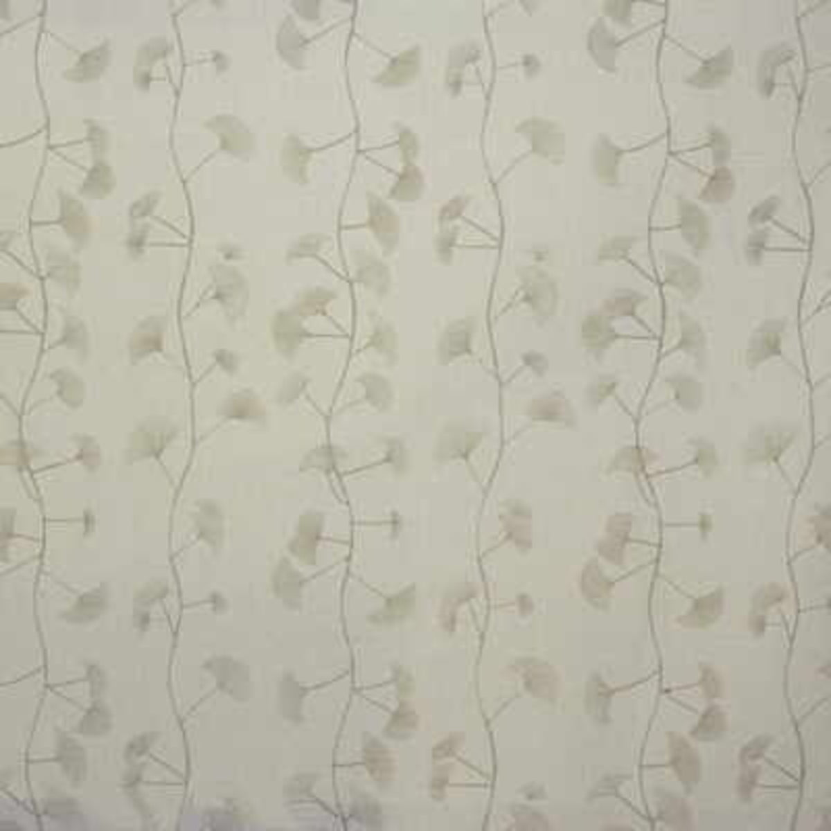 Fans - White/Taupe