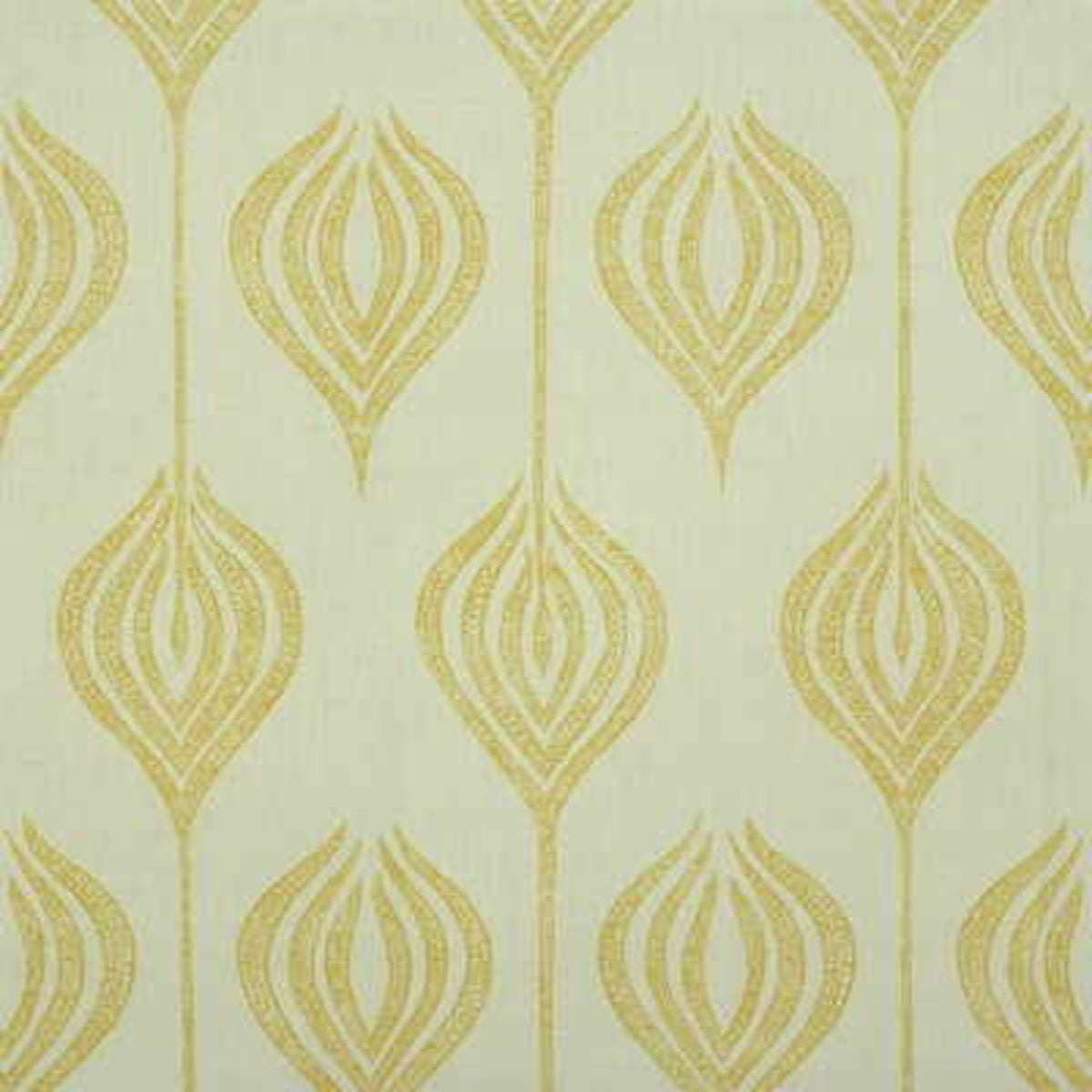 Tulip - White/Yellow