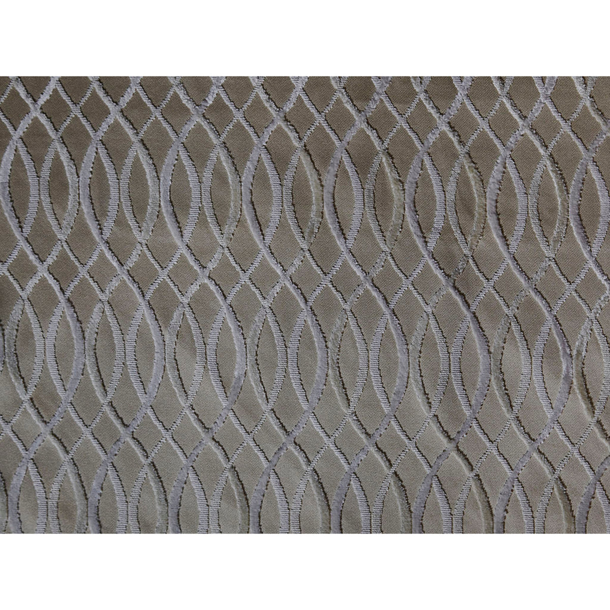 Infinity - Beige/Snow