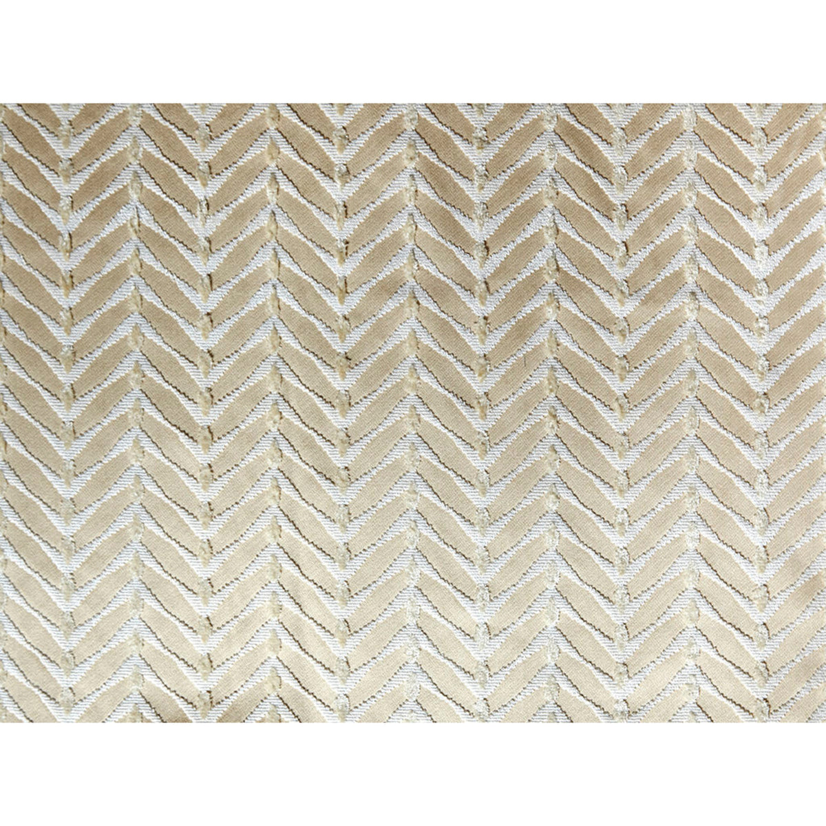 Zebrano - Beige/Snow