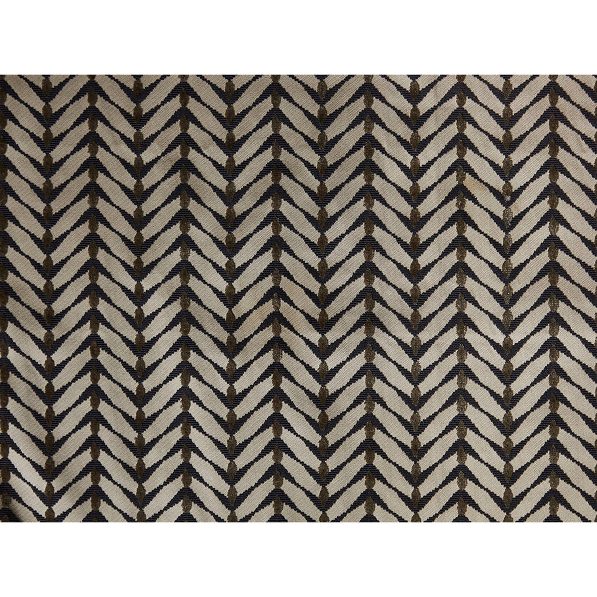 Zebrano - Beige/Midnight