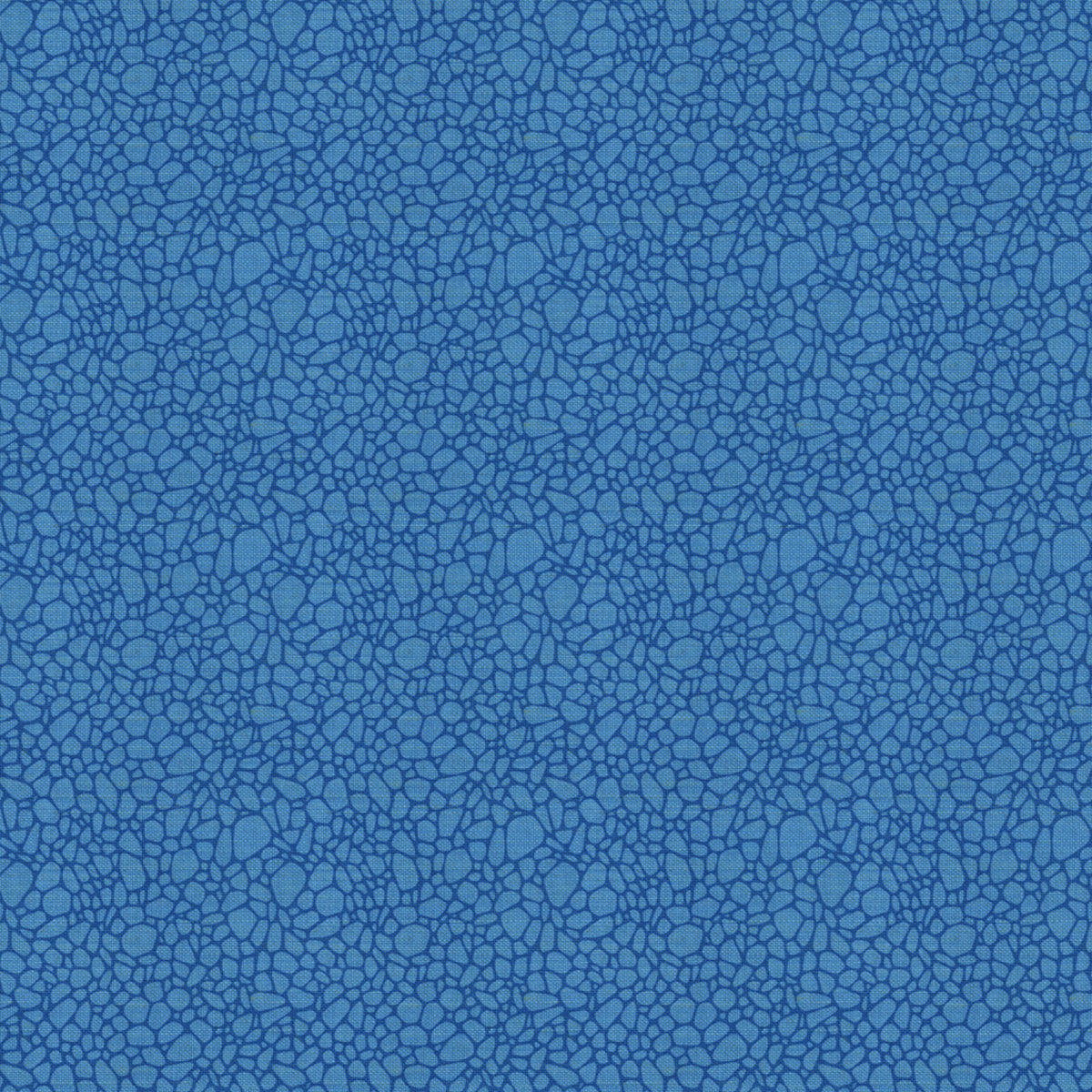 Pavimento - Cornflower