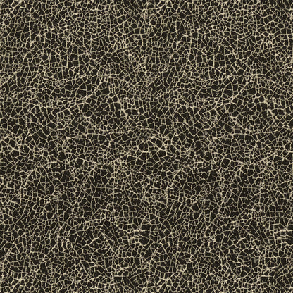 Breakwater - Black