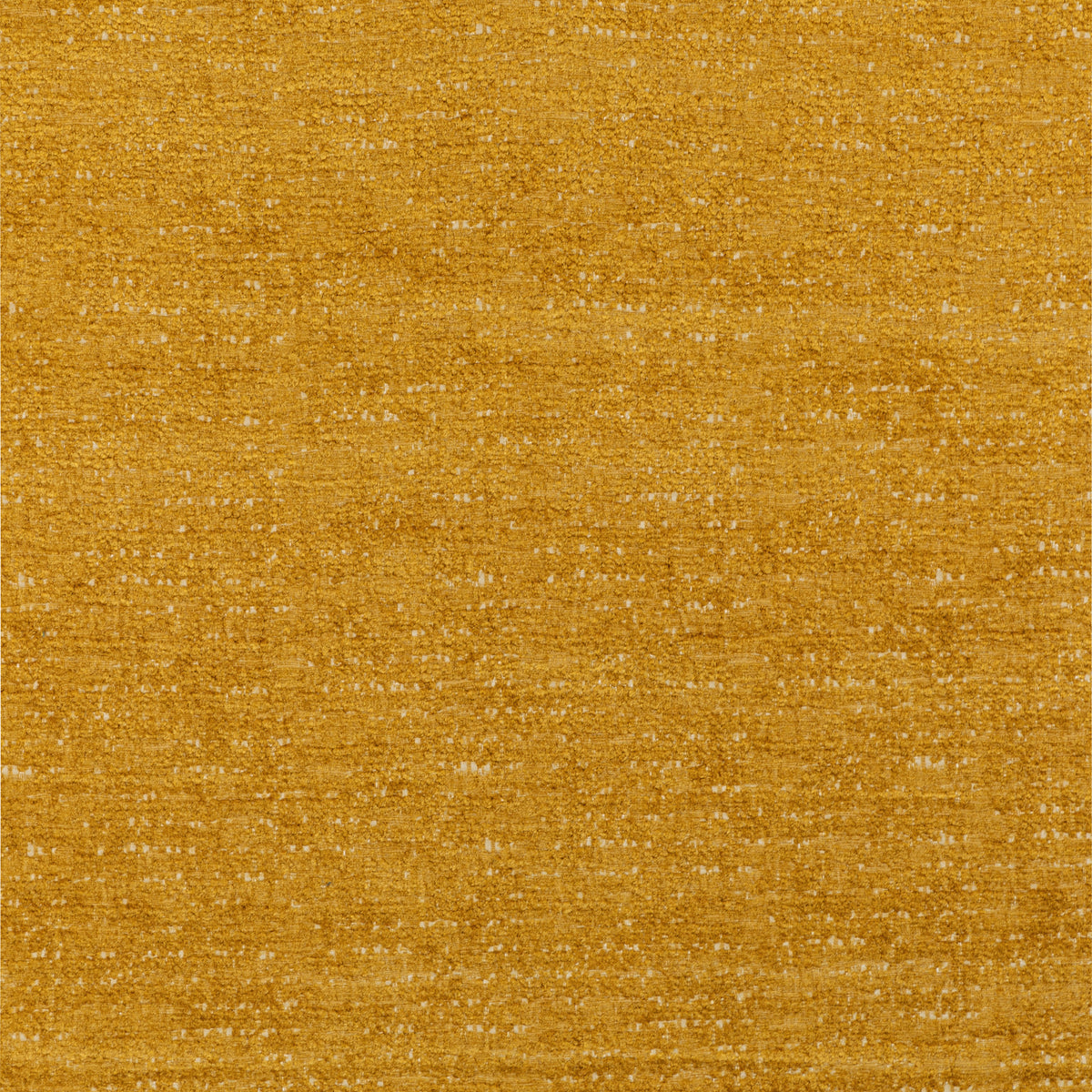 Plume - Coin