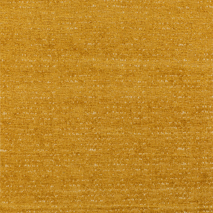 Plume - Coin