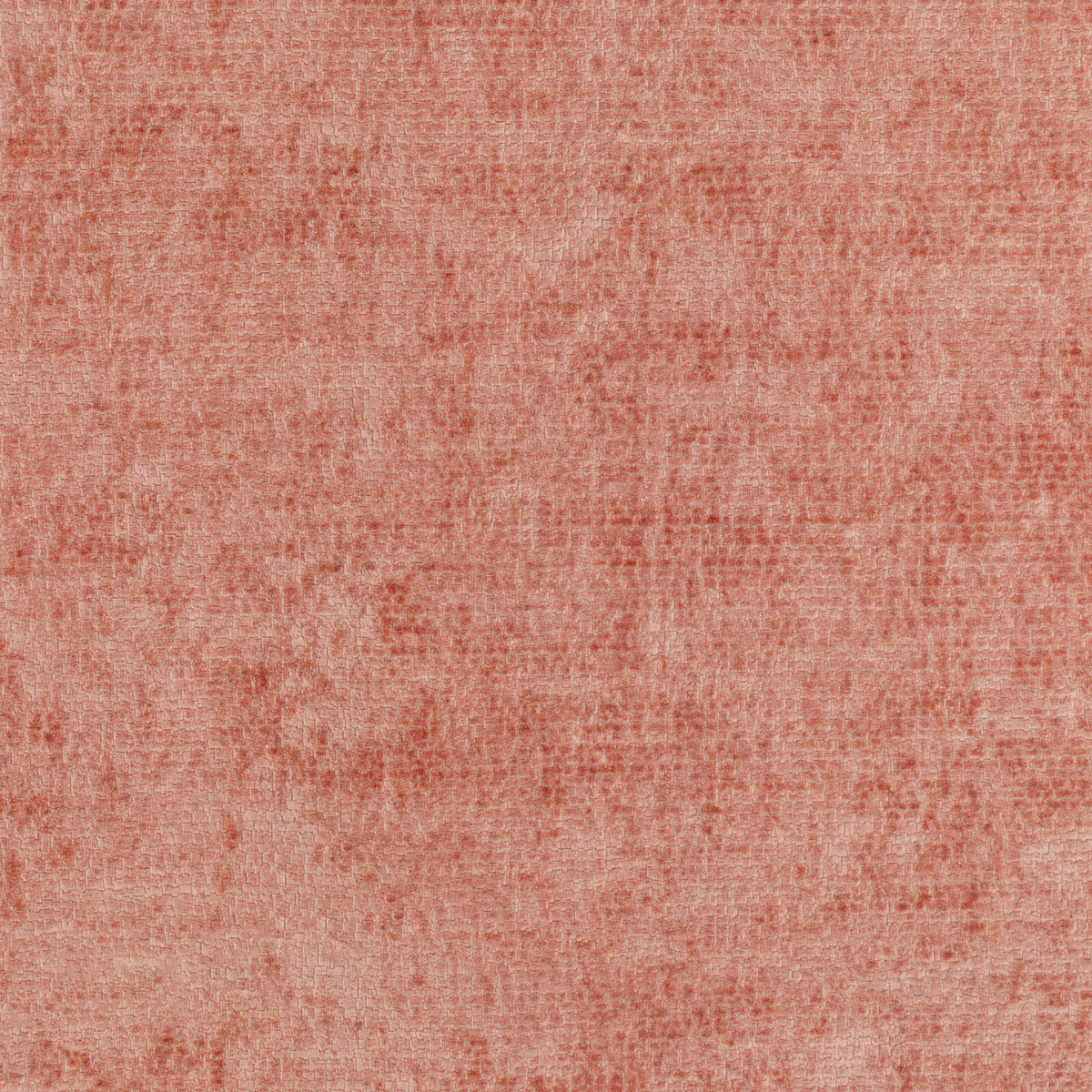 Rebus - Sorbet