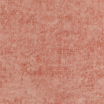 Rebus - Sorbet