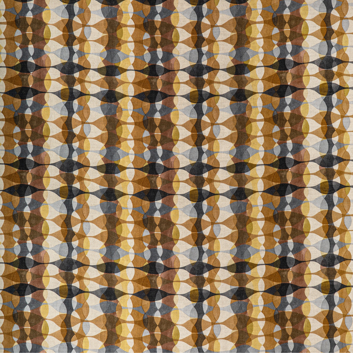 Overtone Print - Coin