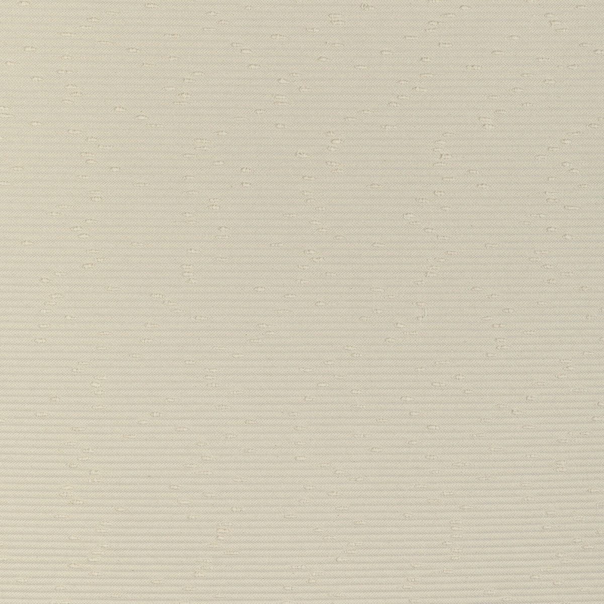 Cabochon - Coconut
