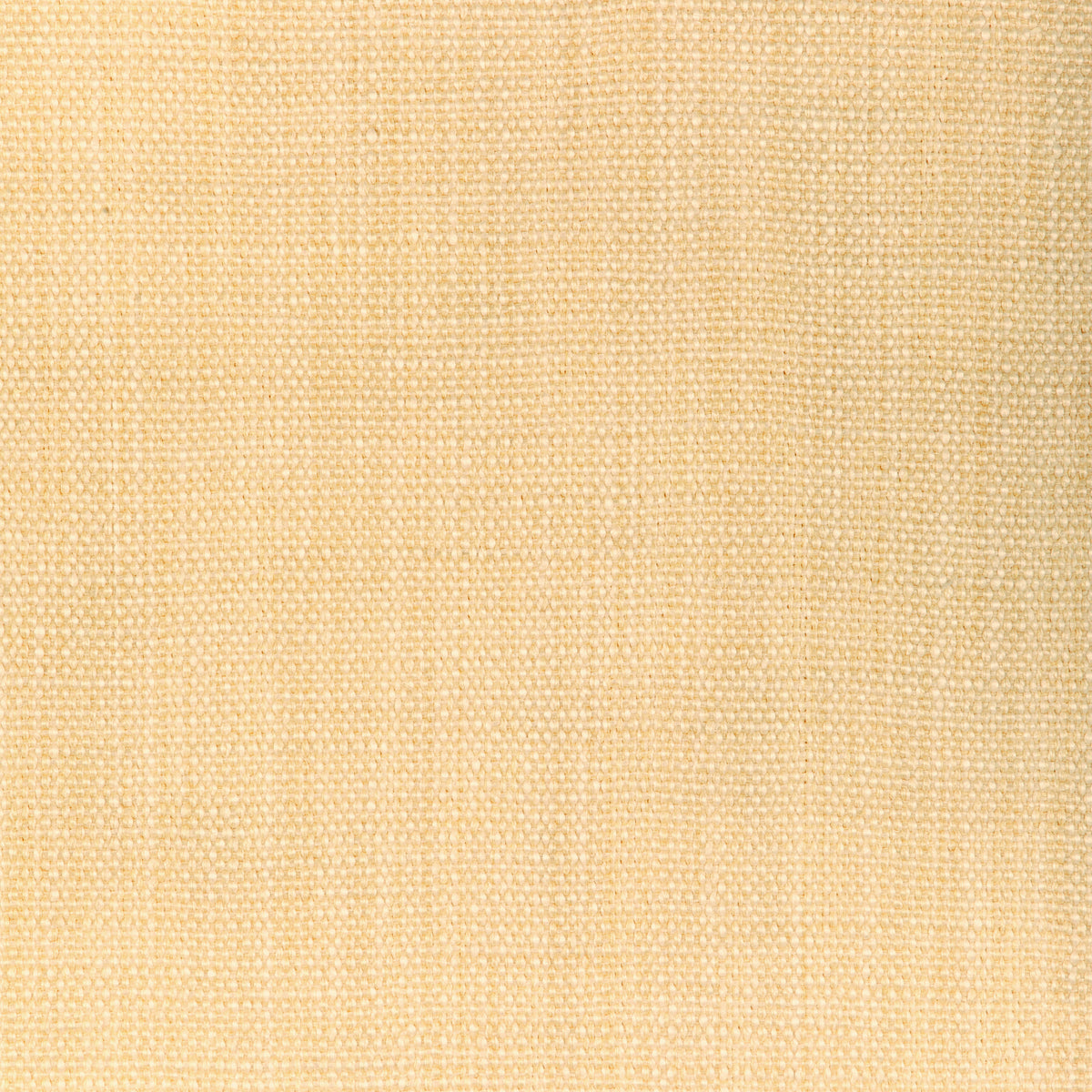 Prairie Texture - Ivory