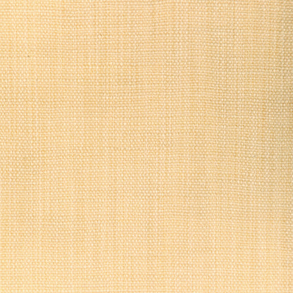 Prairie Texture - Ivory