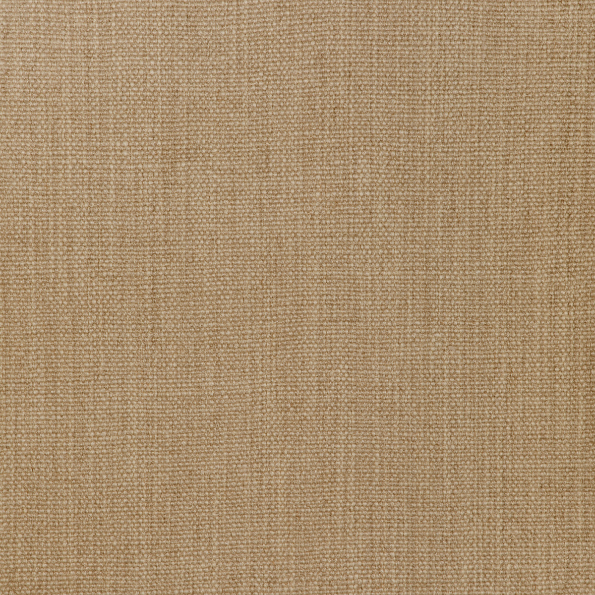 Prairie Texture - Dove