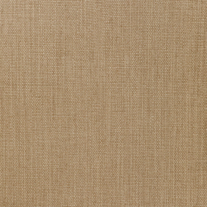Prairie Texture - Dove