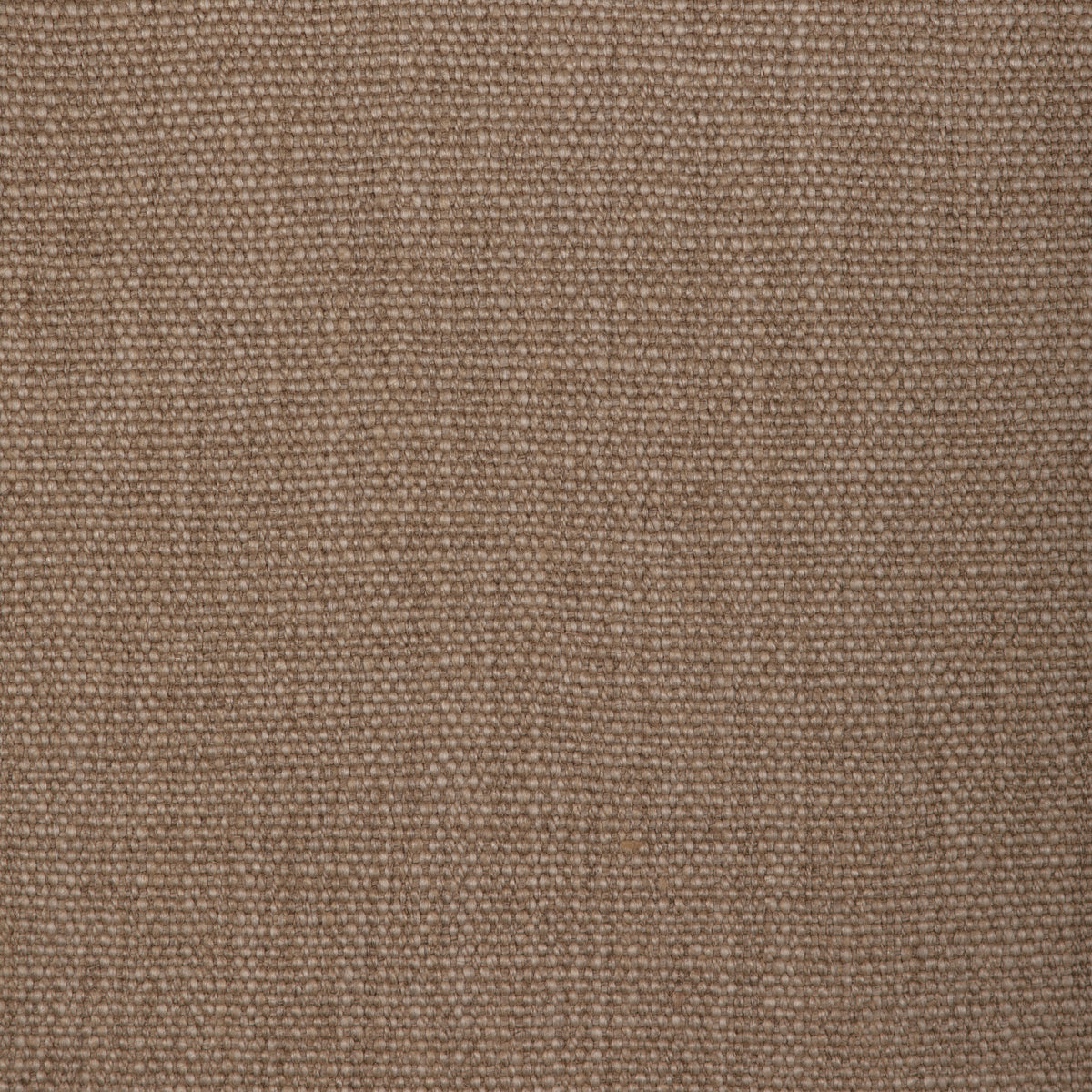Prairie Texture - Stone