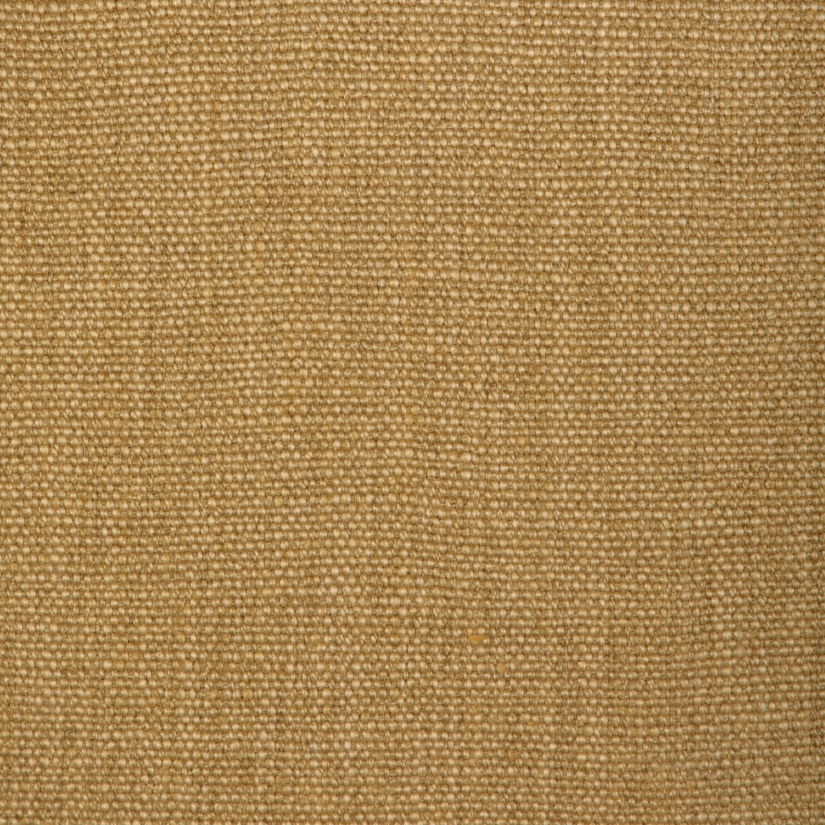 Prairie Texture - Straw