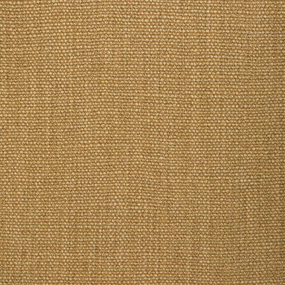 Prairie Texture - Straw